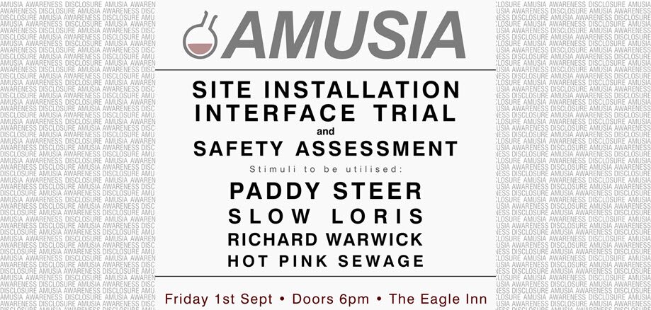 AMUSIA - SITE INSTALLATION INTERFACE TRIAL and SAFETY ASSESMENT 
