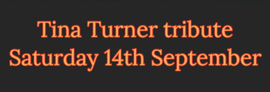 A Tribute to Tina Turner | The Bulls Head