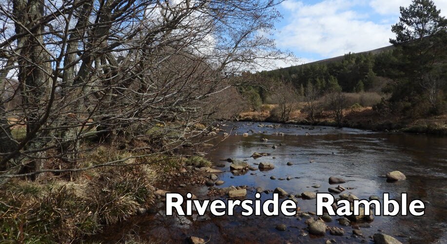 Riverside Ramble along the Feugh | April 2024