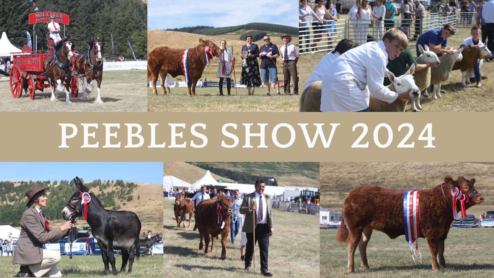 Peebles Show 2024