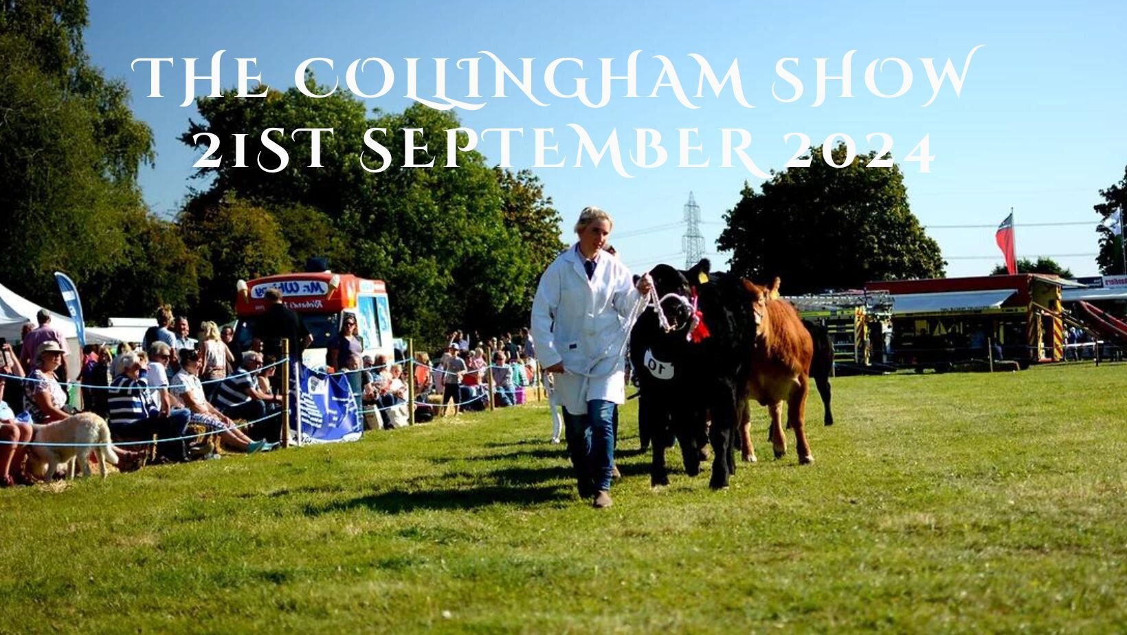 The Collingham Show 2024