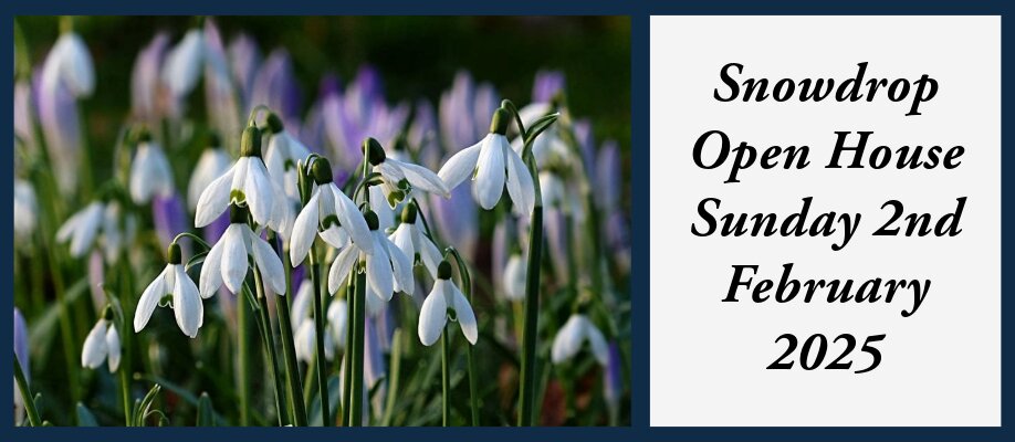 Snowdrop Open House Sunday | Chillington Hall