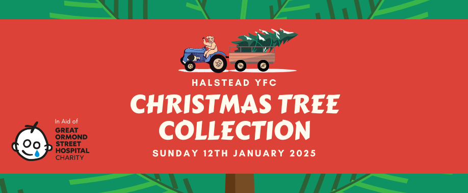 Halstead YFC Christmas Tree Collection 2025