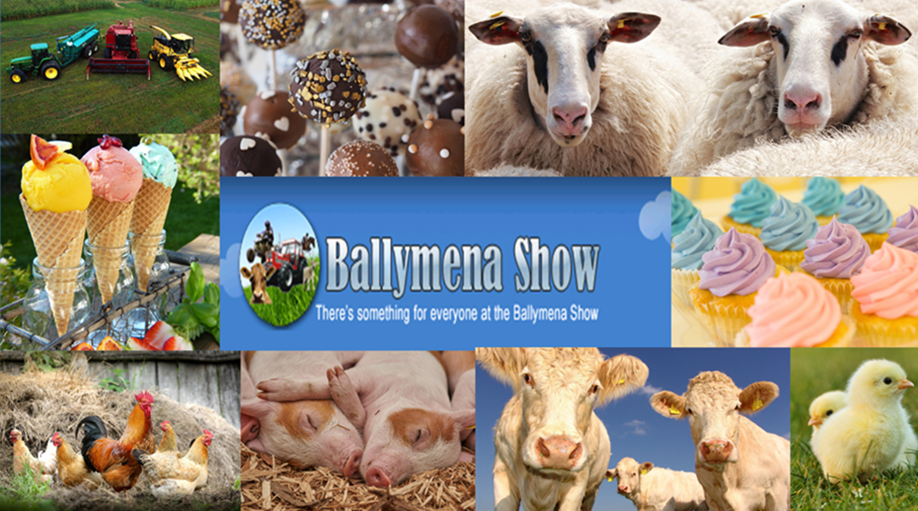 Ballymena Show 2025