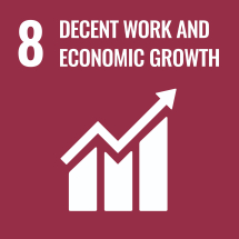 8 - Decent Work and Economic Growth