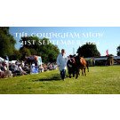 The Collingham Show 2024